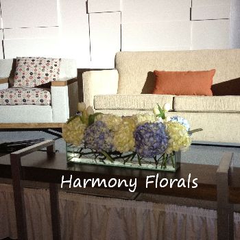 Harmony_Events31